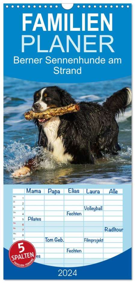 Sigrid Starick: Familienplaner 2024 - Berner Sennenhunde am Strand mit 5 Spalten (Wandkalender, 21 x 45 cm) CALVENDO, Kalender