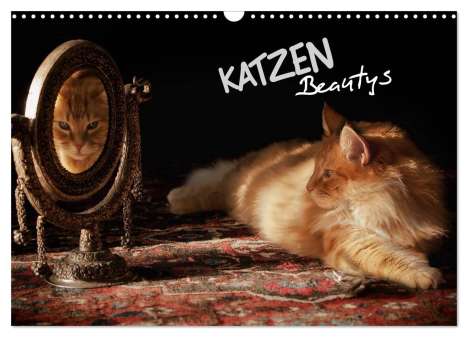 Viktor Gross: KATZEN Beautys (Wandkalender 2024 DIN A3 quer), CALVENDO Monatskalender, Kalender
