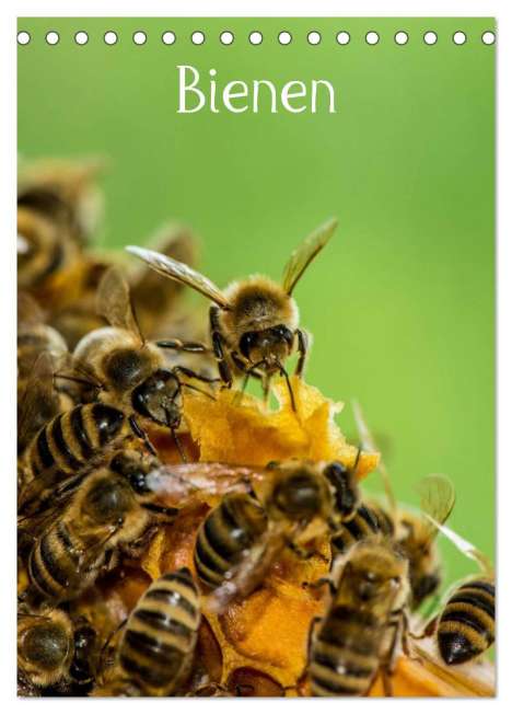 Mark Bangert: Bienen (Tischkalender 2024 DIN A5 hoch), CALVENDO Monatskalender, Kalender