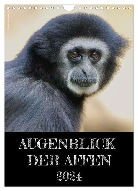 Hamburg Mirko Weigt: Augenblick der Affen 2024 (Wandkalender 2024 DIN A4 hoch), CALVENDO Monatskalender, Kalender