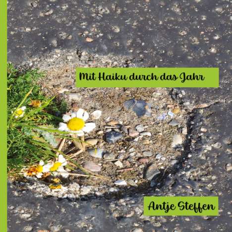 Antje Steffen: Mit Haiku durch das Jahr, Buch