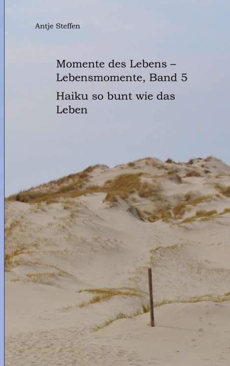 Antje Steffen: Momente des Lebens - Lebensmomente Band 5, Buch