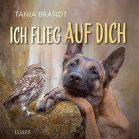 Tanja Brandt: Brandt, T: Ich flieg auf dich, Buch