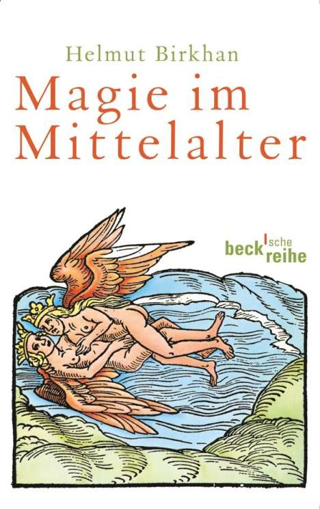 Helmut Birkhan: Magie im Mittelalter, Buch