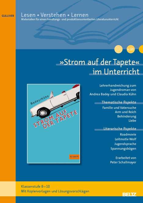 Peter Schallmayer: »Strom auf der Tapete« im Unterricht, Buch