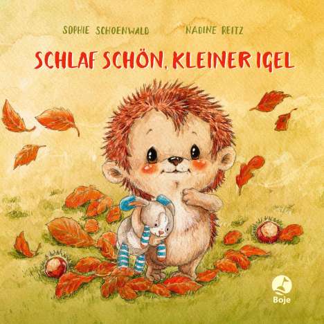 Sophie Schoenwald: Schlaf schön, kleiner Igel (Mini-Ausgabe), Buch