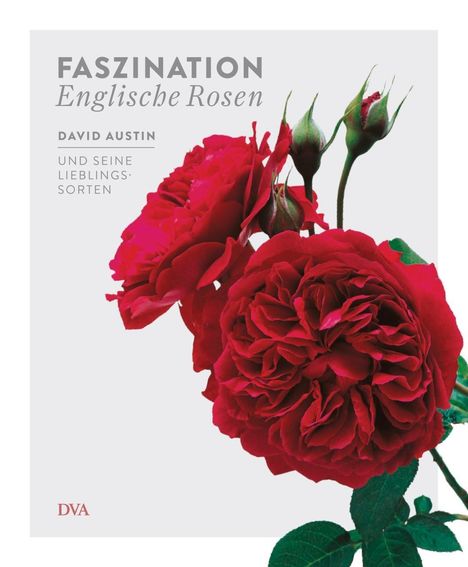 David Austin: Austin, D: Faszination Englische Rosen, Buch