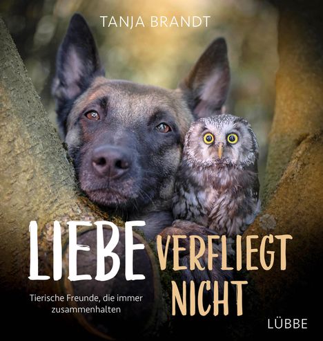 Tanja Brandt: Brandt, T: Liebe verfliegt nicht, Buch