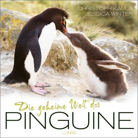 Christoph Kaula: Kaula, C: geheime Welt der Pinguine, Buch