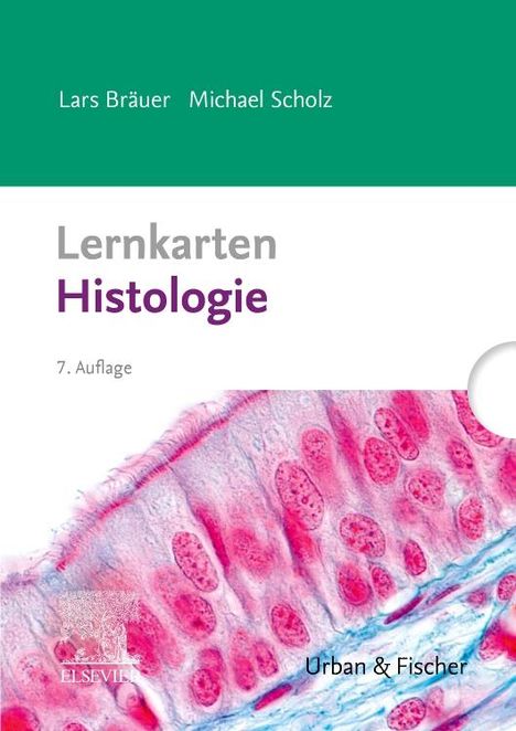 Lars Bräuer: Lernkarten Histologie, Diverse