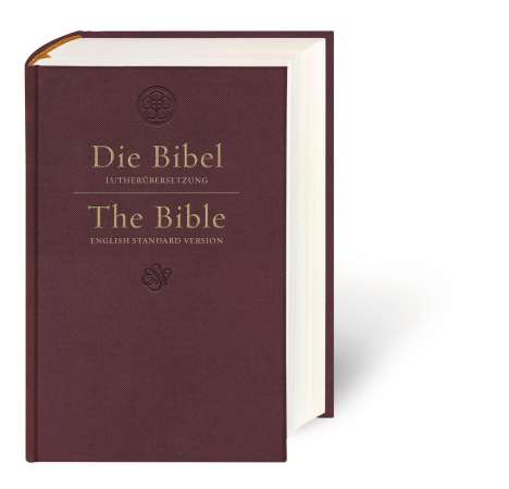 Die Bibel - The Bible, Buch
