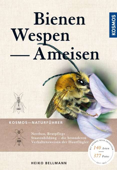 Heiko Bellmann: Bellmann, H: Bienen, Wespen, Ameisen, Buch