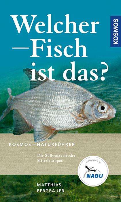 Matthias Bergbauer: Bergbauer, M: Welcher Fisch ist das?, Buch