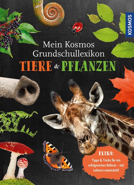 Ilka Sokolowski: Mein Kosmos Grundschullexikon Tiere &amp; Pflanzen, Buch
