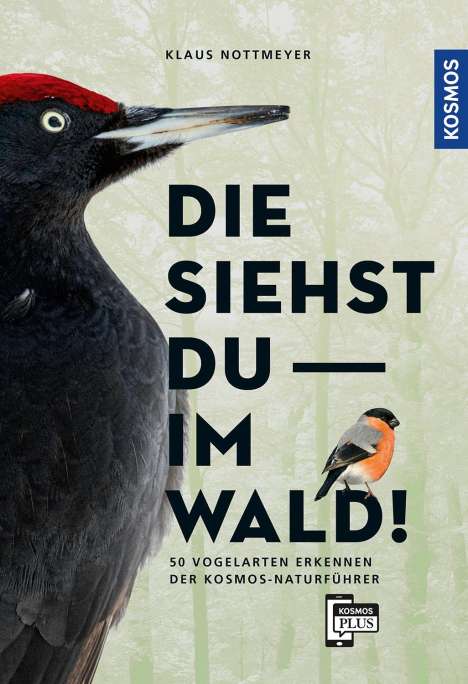Klaus Nottmeyer: Die siehst du im Wald! 64 Vogelarten erkennen, Buch