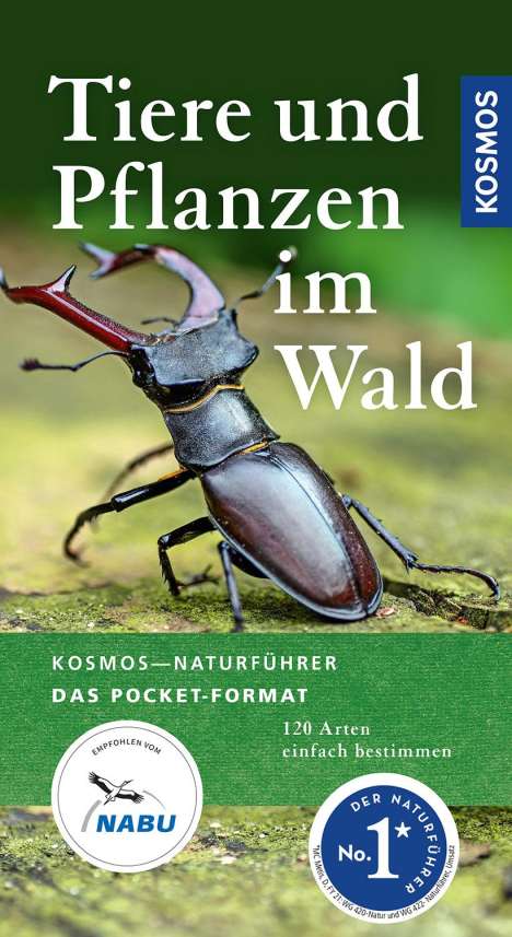 Ute Wilhelmsen: Wilhelmsen, U: Tiere und Pflanzen im Wald, Buch