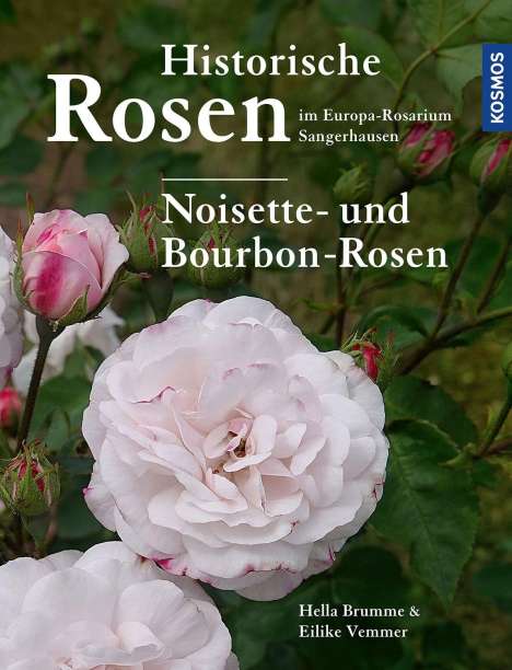 Hella Brumme: Historische Rosen im Europa Rosarium Sangerhausen: Noisette- und Bourbon-Rosen, Buch