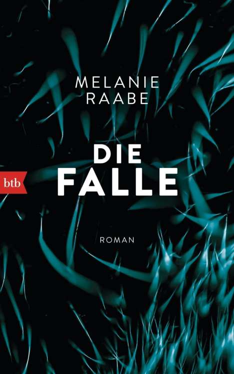Melanie Raabe: Raabe, M: Falle, Buch