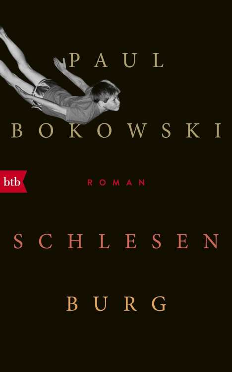 Paul Bokowski: Schlesenburg, Buch