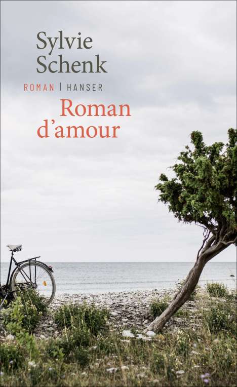 Sylvie Schenk: Roman d'amour, Buch