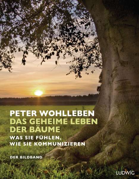 Peter Wohlleben: Das geheime Leben der Bäume, Buch