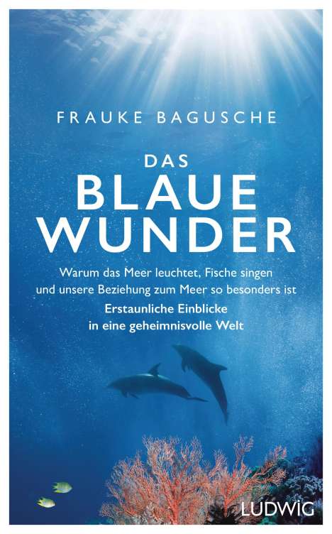 Frauke Bagusche: Das blaue Wunder, Buch