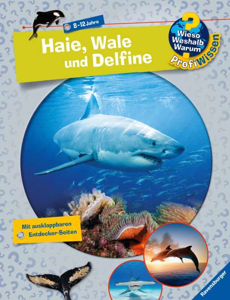 Dela Kienle: Kienle, D: Haie, Wale und Delfine, Buch