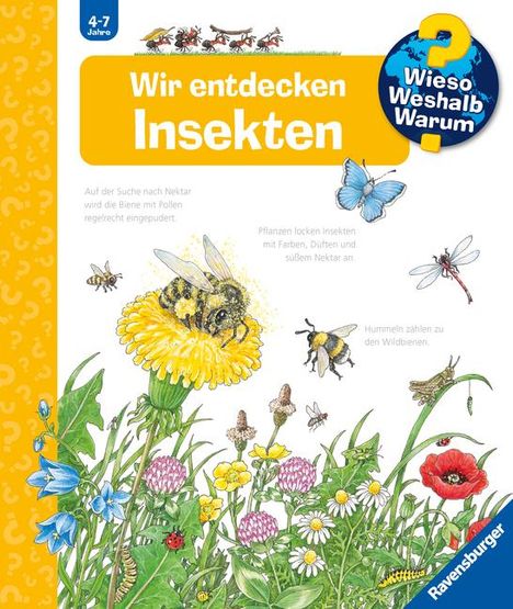 Angela Weinhold: Wieso? Weshalb? Warum?, Band 39: Wir entdecken Insekten, Buch
