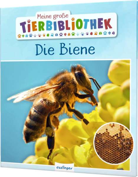 Paul Starosta: Meine große Tierbibliothek: Die Biene, Buch