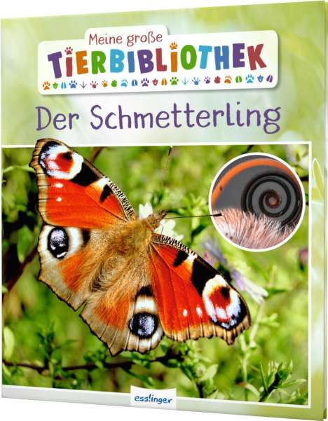 Valérie Tracqui: Meine große Tierbibliothek: Der Schmetterling, Buch