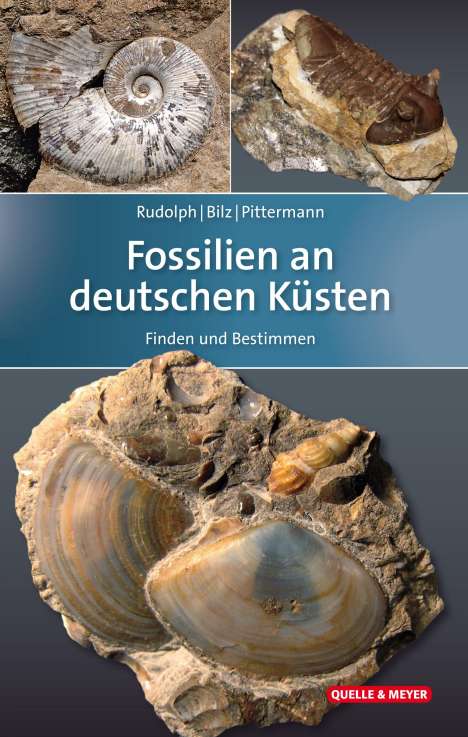 Frank Rudolph: Fossilien an deutschen Küsten, Buch