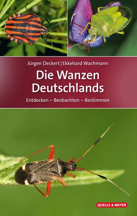 Jürgen Deckert: Die Wanzen Deutschlands, Buch