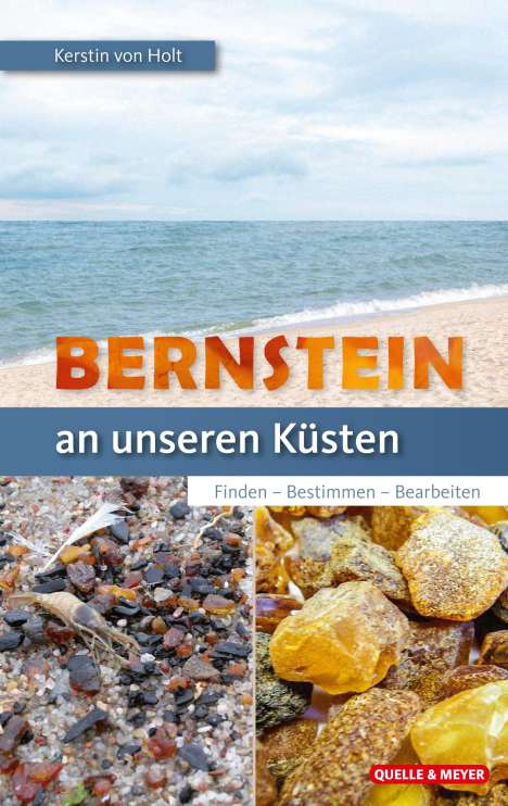 Kerstin von Holt: Bernstein an unseren Küsten, Buch