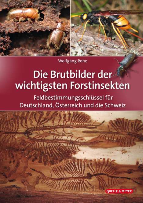 Wolfgang Rohe: Die Brutbilder der wichtigsten Forstinsekten, Buch