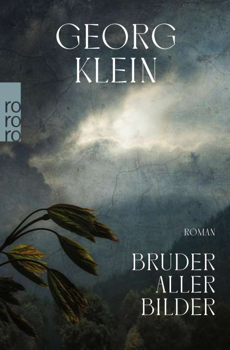 Georg Klein: Bruder aller Bilder, Buch