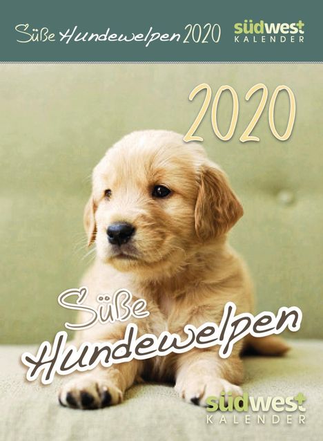 Süße Hundewelpen 2020 Abreißkalender, Diverse
