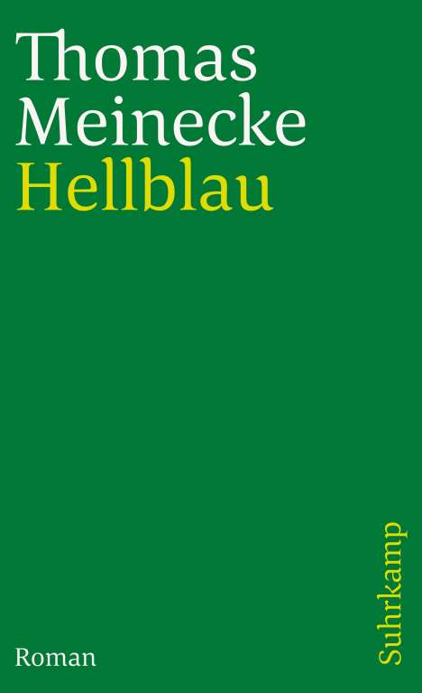Thomas Meinecke: Meinecke, T: Hellblau, Buch
