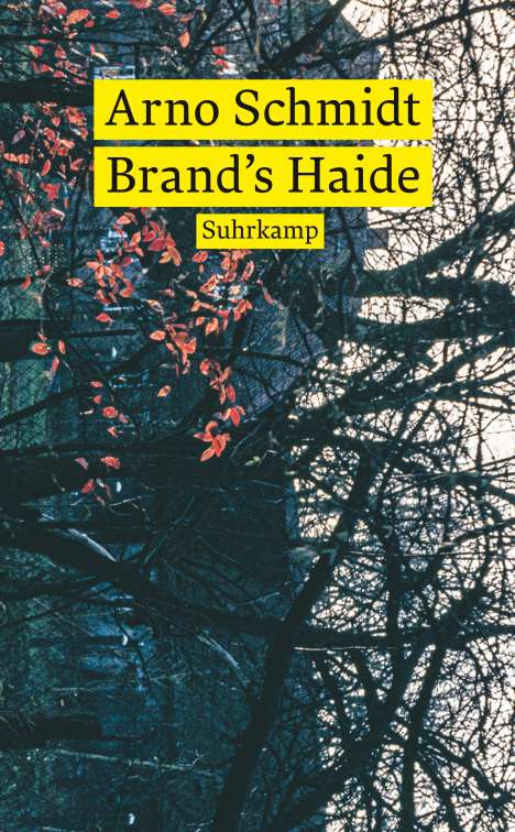 Arno Schmidt: Brand's Haide, Buch