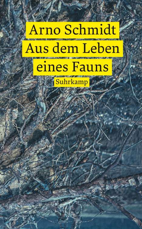 Arno Schmidt: Aus dem Leben eines Fauns, Buch