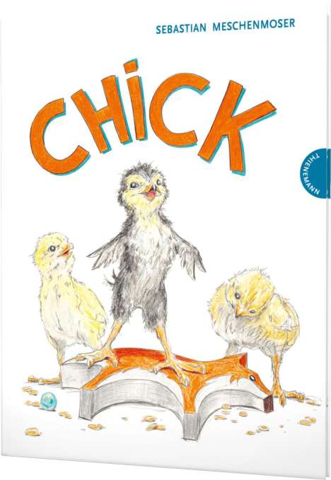 Sebastian Meschenmoser: Chick, Buch