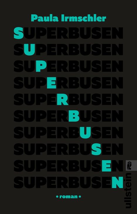 Paula Irmschler: Superbusen, Buch