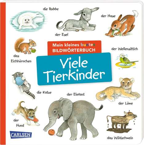 Mein kleines buntes Bildwörterbuch: Viele Tierkinder, Buch
