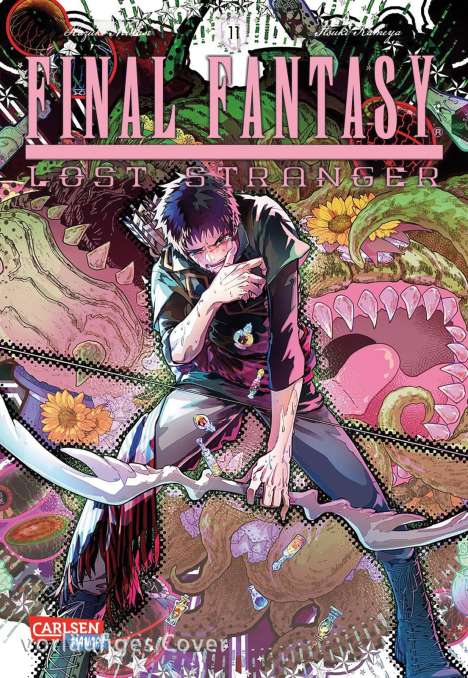 Hazuki Minase: Final Fantasy ¿ Lost Stranger 11, Buch