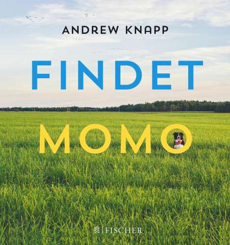 Andrew Knapp: Andrew, K: Findet Momo, Buch