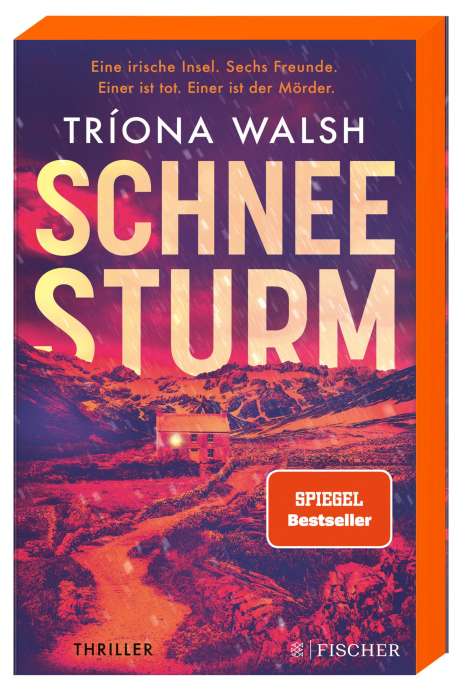 Tríona Walsh: Schneesturm, Buch