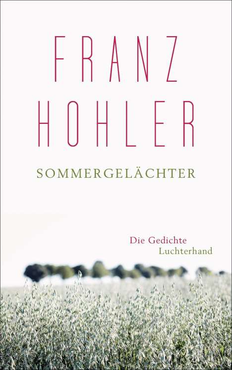 Franz Hohler: Sommergelächter, Buch