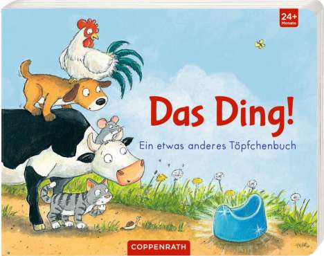 Hans-Christian Schmidt: Schmidt, H: Ding!, Buch