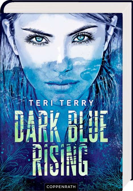 Teri Terry: Dark Blue Rising (Bd. 1), Buch