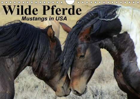 Elisabeth Stanzer: Wilde Pferde . Mustangs in USA (Wandkalender 2018 DIN A4 quer), Diverse