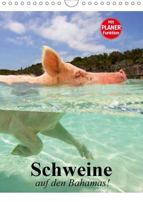 Elisabeth Stanzer: Schweine auf den Bahamas! (Wandkalender 2019 DIN A4 hoch), Diverse